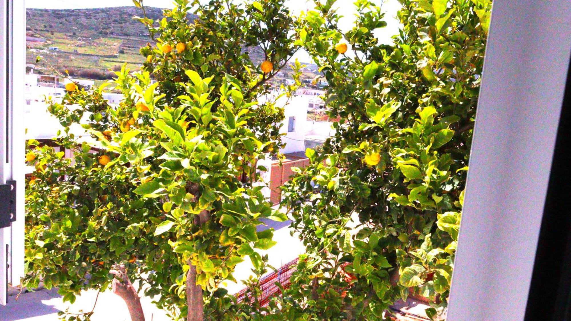 Lemon Tree Maisonette - Naoussa Paros Exterior foto